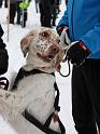 IMG_5630a