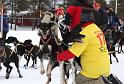 IMG_5635a