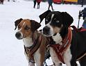 IMG_5823a