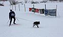 IMG_5847a