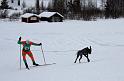 IMG_5934a