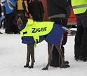 IMG_6037a