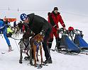 IMG_6146a