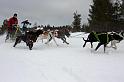 IMG_6171a