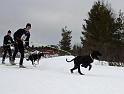 IMG_6196a