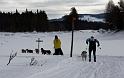 IMG_6351a