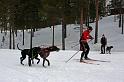 IMG_6379a