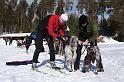 IMG_6442a