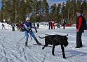 IMG_6518a