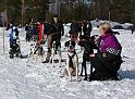 IMG_6520a