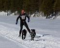 IMG_6531a