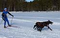 IMG_6542a