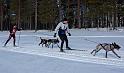 IMG_6560a