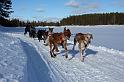 IMG_6597a