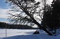IMG_6630a