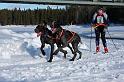 IMG_6682a