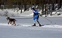 IMG_6733a