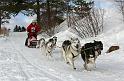 IMG_6805a
