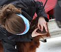 IMG_6899a