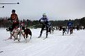 IMG_7027a