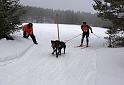 IMG_7258a