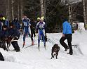 IMG_7309a