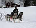 IMG_7339a