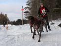 IMG_7499a