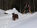 IMG_7624a