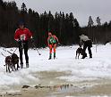 IMG_7686a