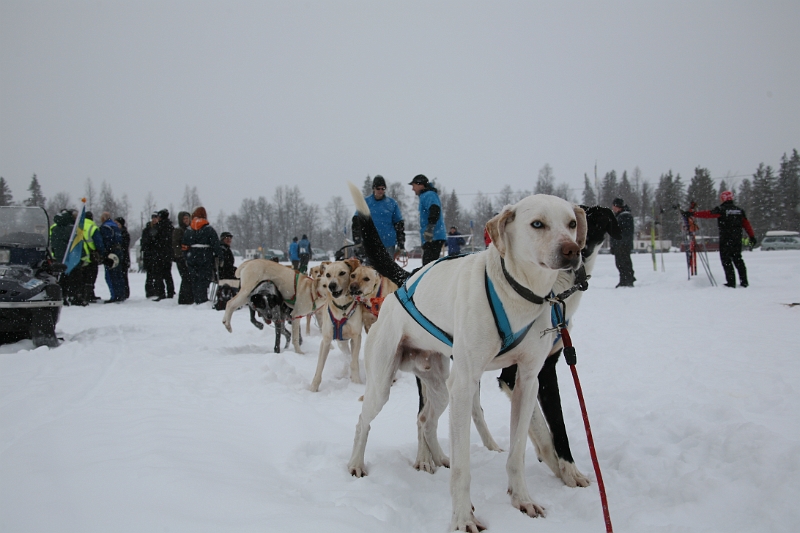 IMG_9002.JPG