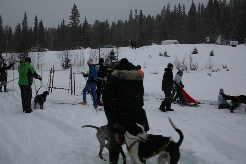 IMG_9141.JPG