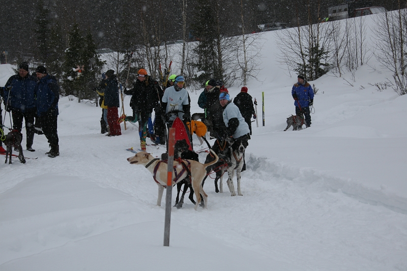 IMG_9172.JPG