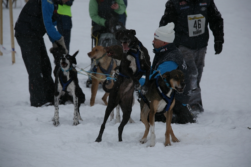 IMG_9236.JPG