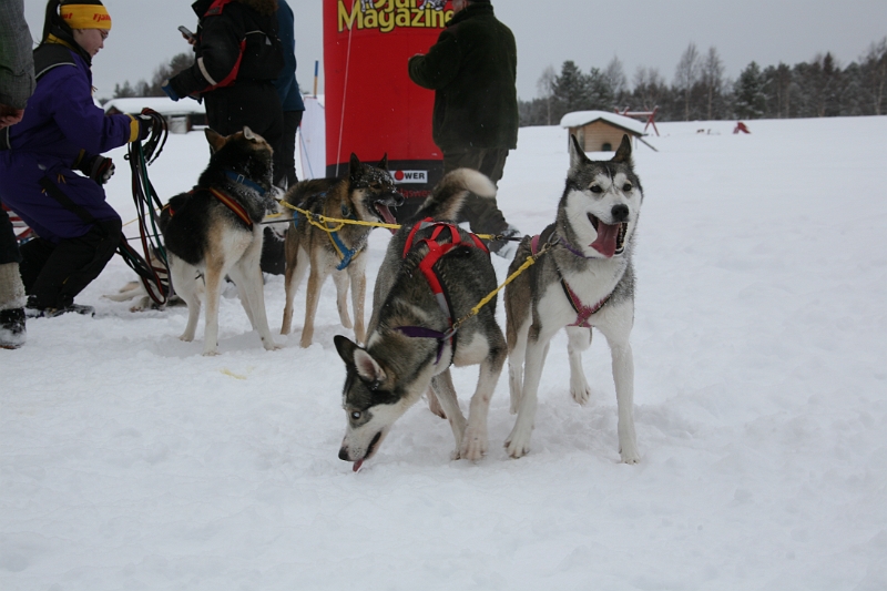 IMG_9553.JPG