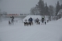 IMG_8927
