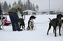 IMG_9019
