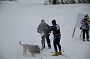 IMG_9476