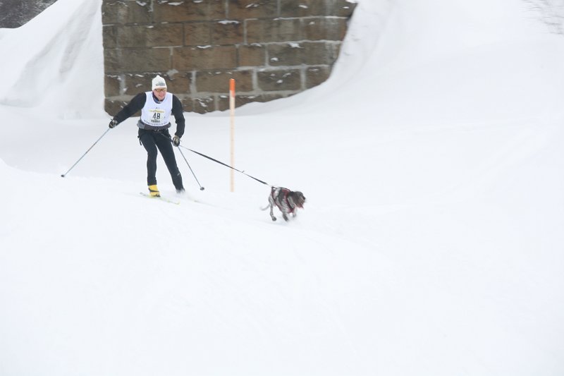 IMG_0043.JPG
