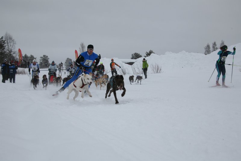 IMG_9644.JPG