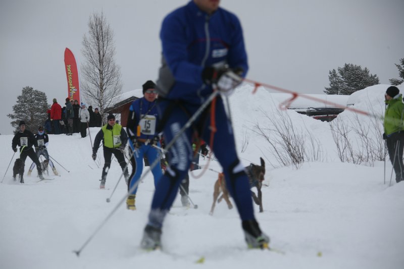 IMG_9681.JPG