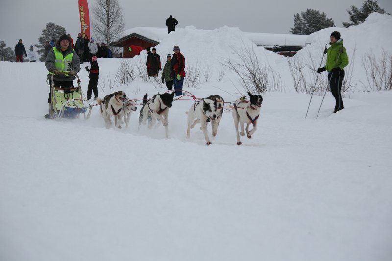 IMG_9710.JPG