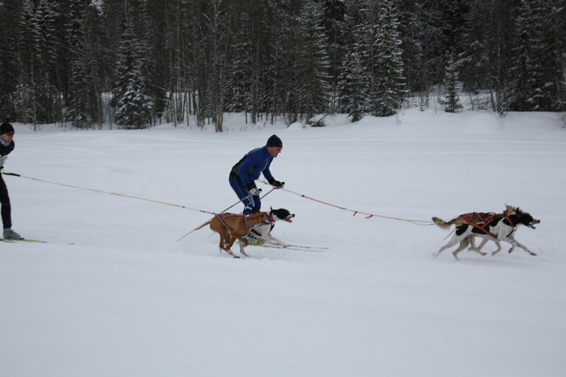 IMG_9748.JPG