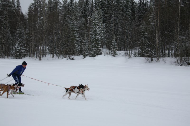 IMG_9752.JPG