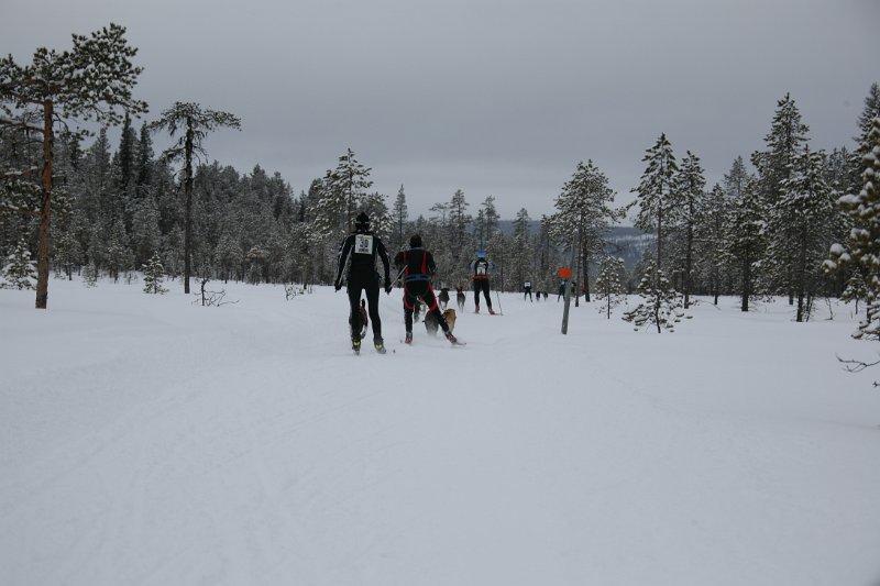 IMG_9837.JPG