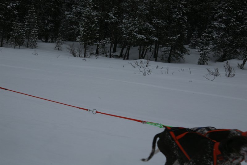IMG_9881.JPG