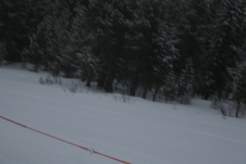 IMG_9883.JPG
