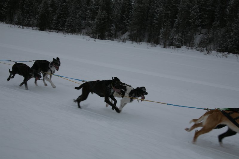 IMG_9903.JPG