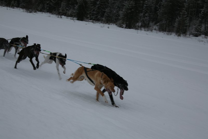 IMG_9911.JPG