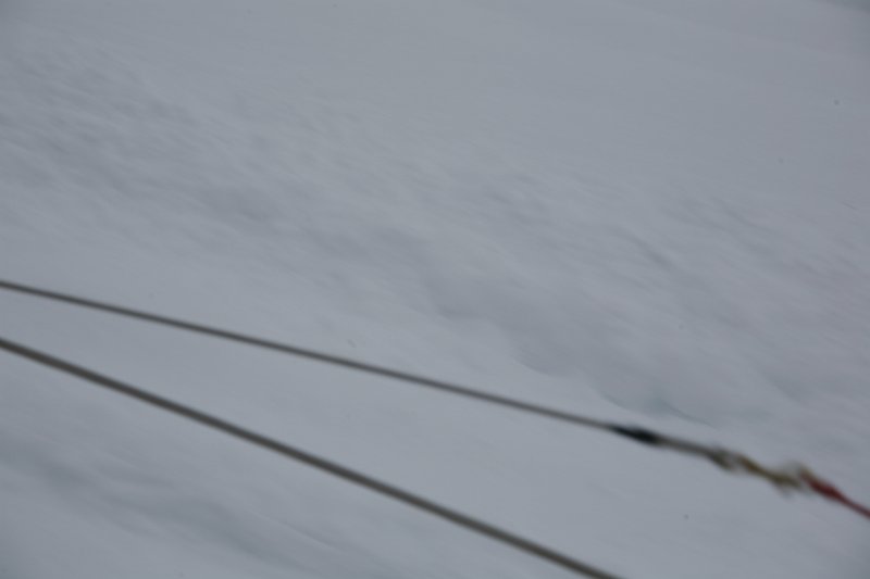 IMG_9912.JPG